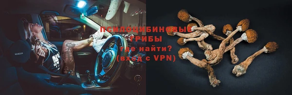 прущий лед Богородск