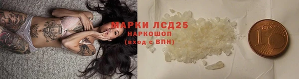 ПСИЛОЦИБИНОВЫЕ ГРИБЫ Богданович