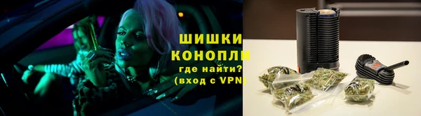 ПСИЛОЦИБИНОВЫЕ ГРИБЫ Богданович