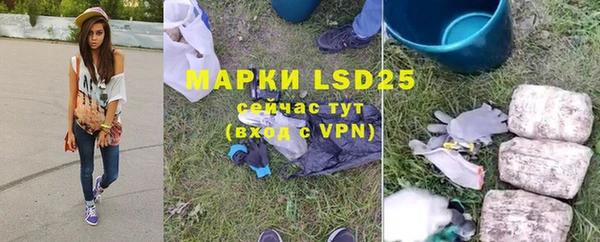 прущие грибы Богородицк