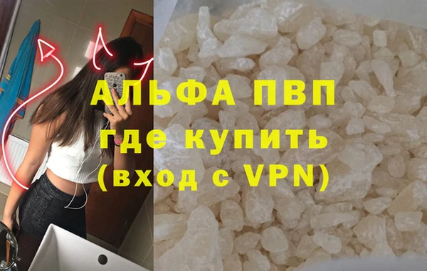 прущие грибы Богородицк