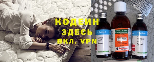 прущие грибы Богородицк