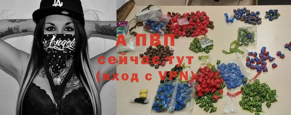 ПСИЛОЦИБИНОВЫЕ ГРИБЫ Богданович