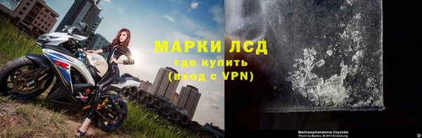ПСИЛОЦИБИНОВЫЕ ГРИБЫ Богданович